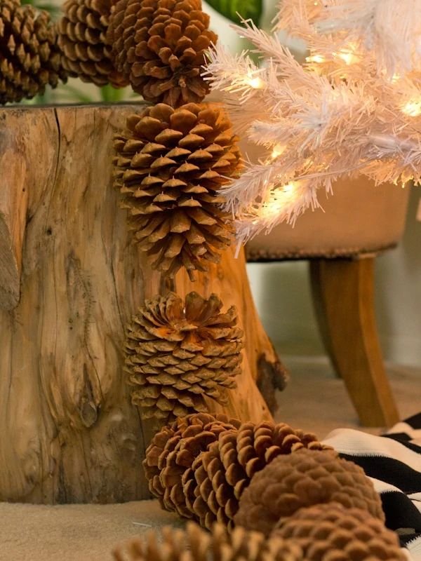 Pinecone String Garland