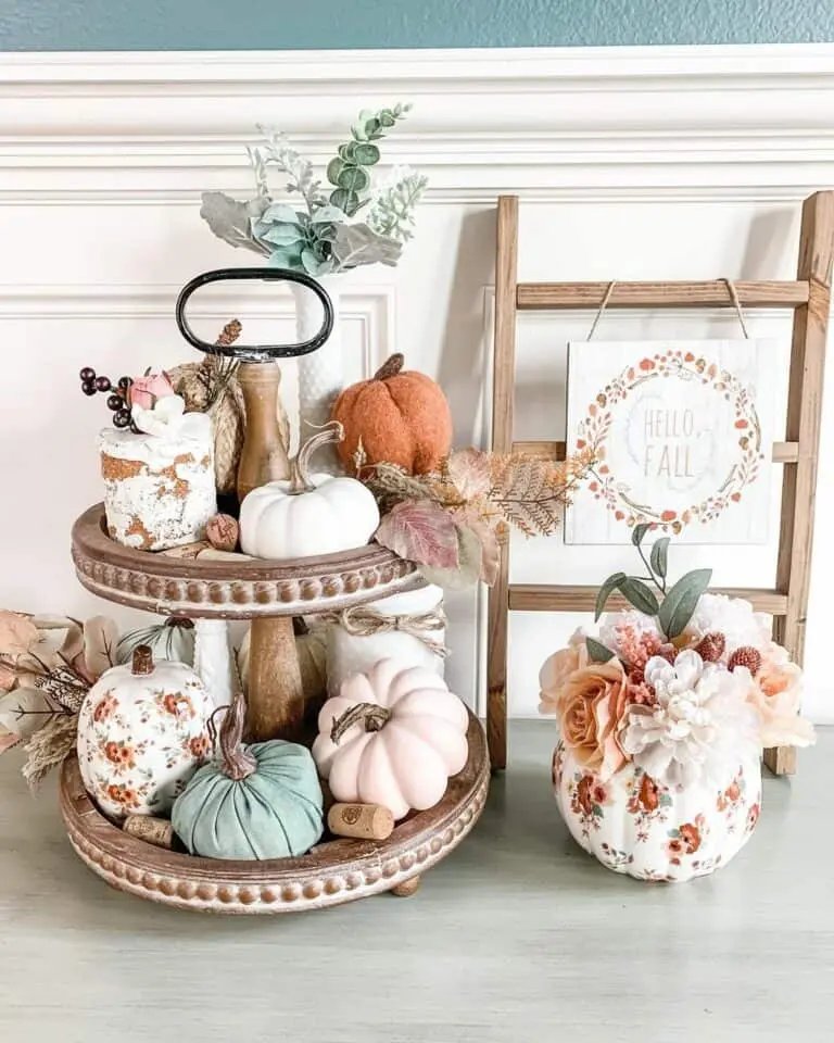 Pumpkin and Cake Display