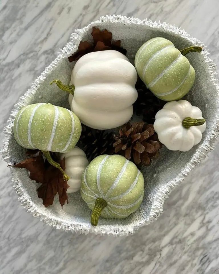 Speckled Green Pumpkin Display