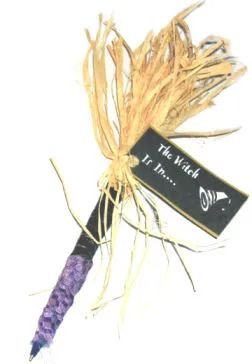 Broomstick-Themed Pens