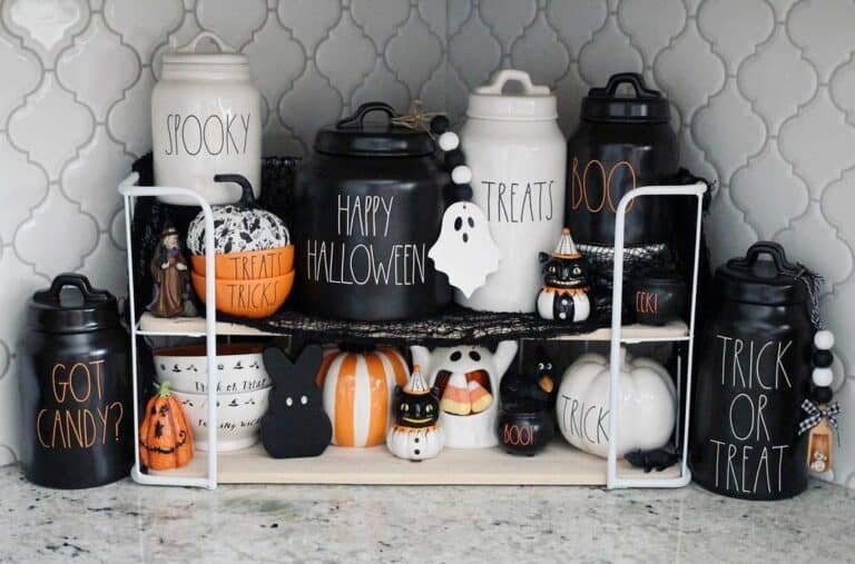 Gray Kitchen with Cat Accents