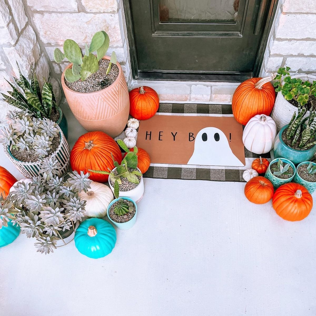 Halloween Succulent Displays