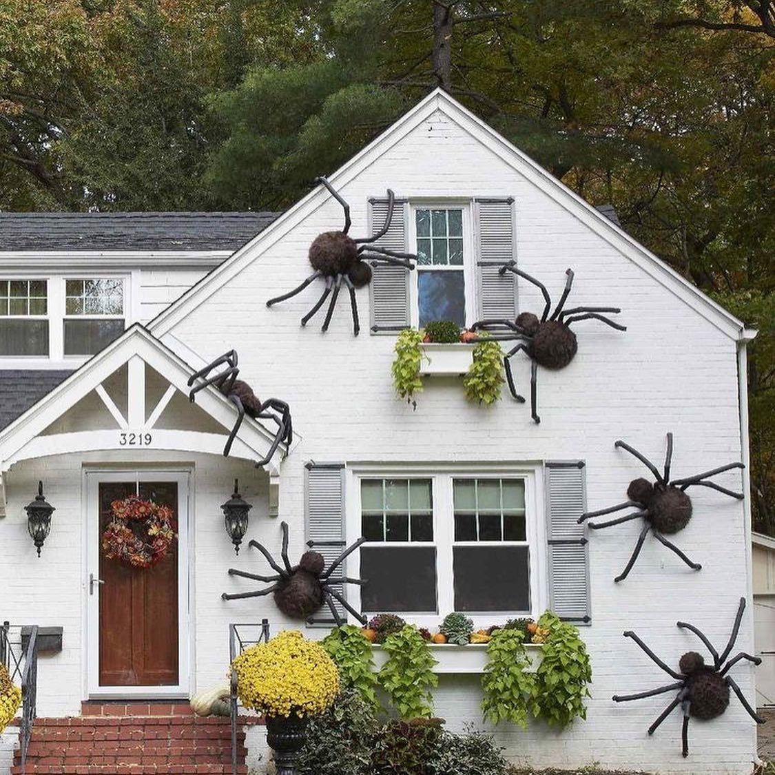 Large Halloween Spider Props