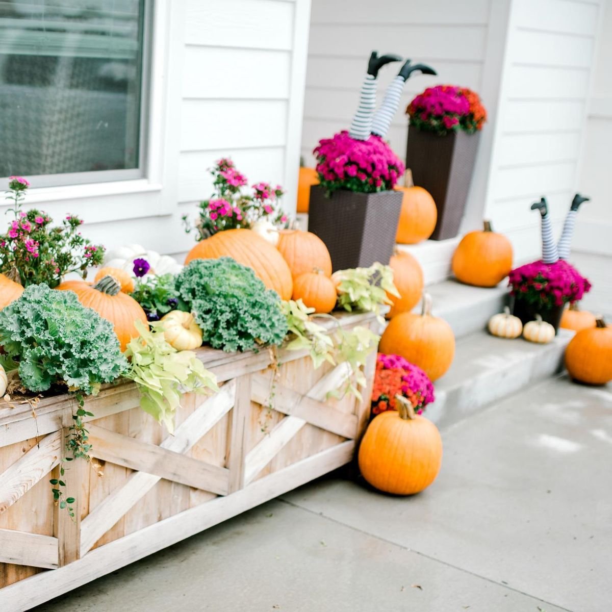 Pink Flowers and Orange Pumpkins