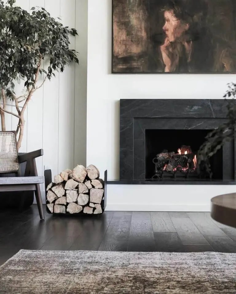 Black Fireplace Portrait