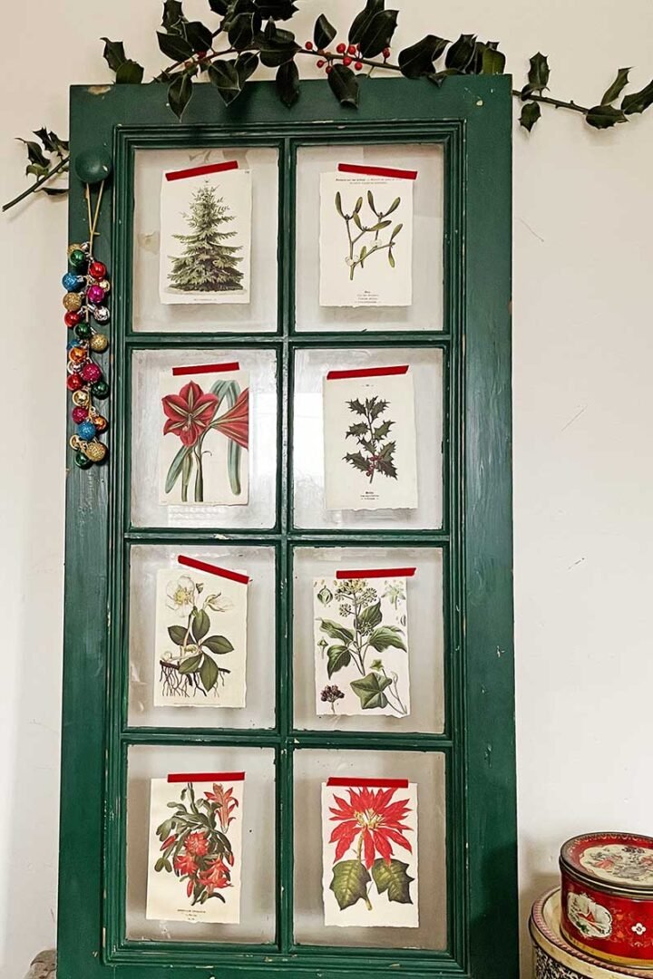 Christmas Plant Wall Art