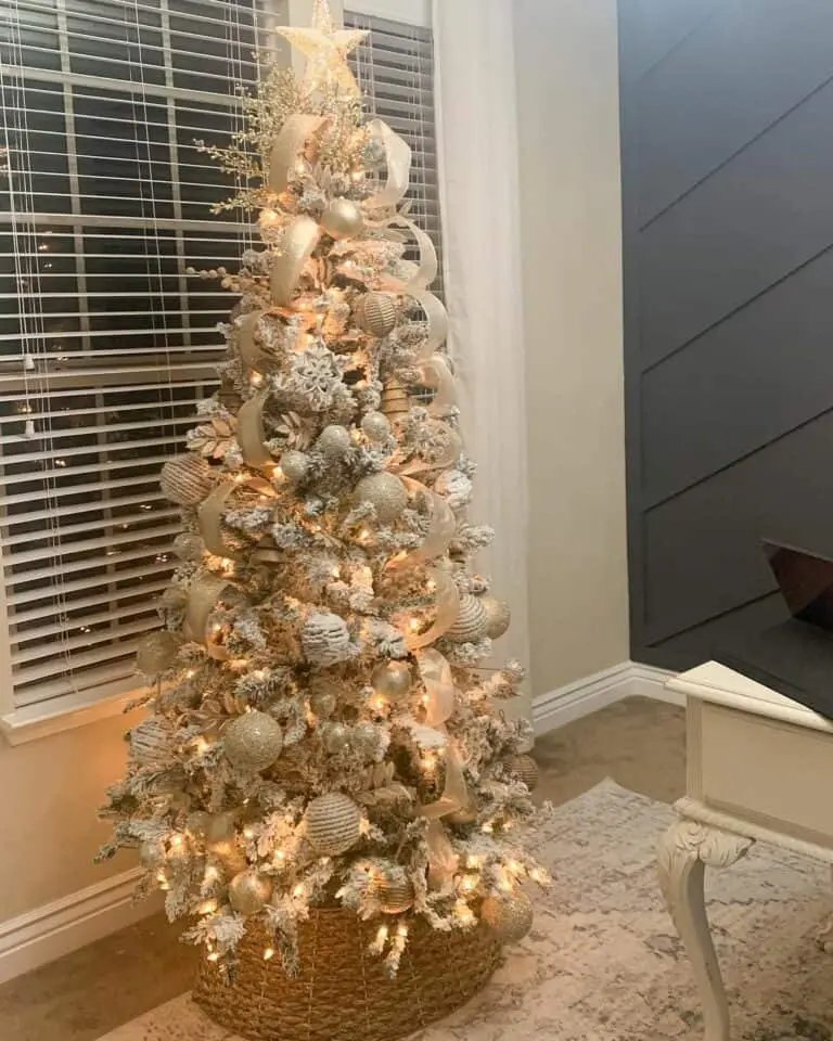 Dark Wall Light Contrast