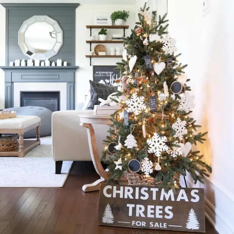 Farmhouse Snowflake Ornaments