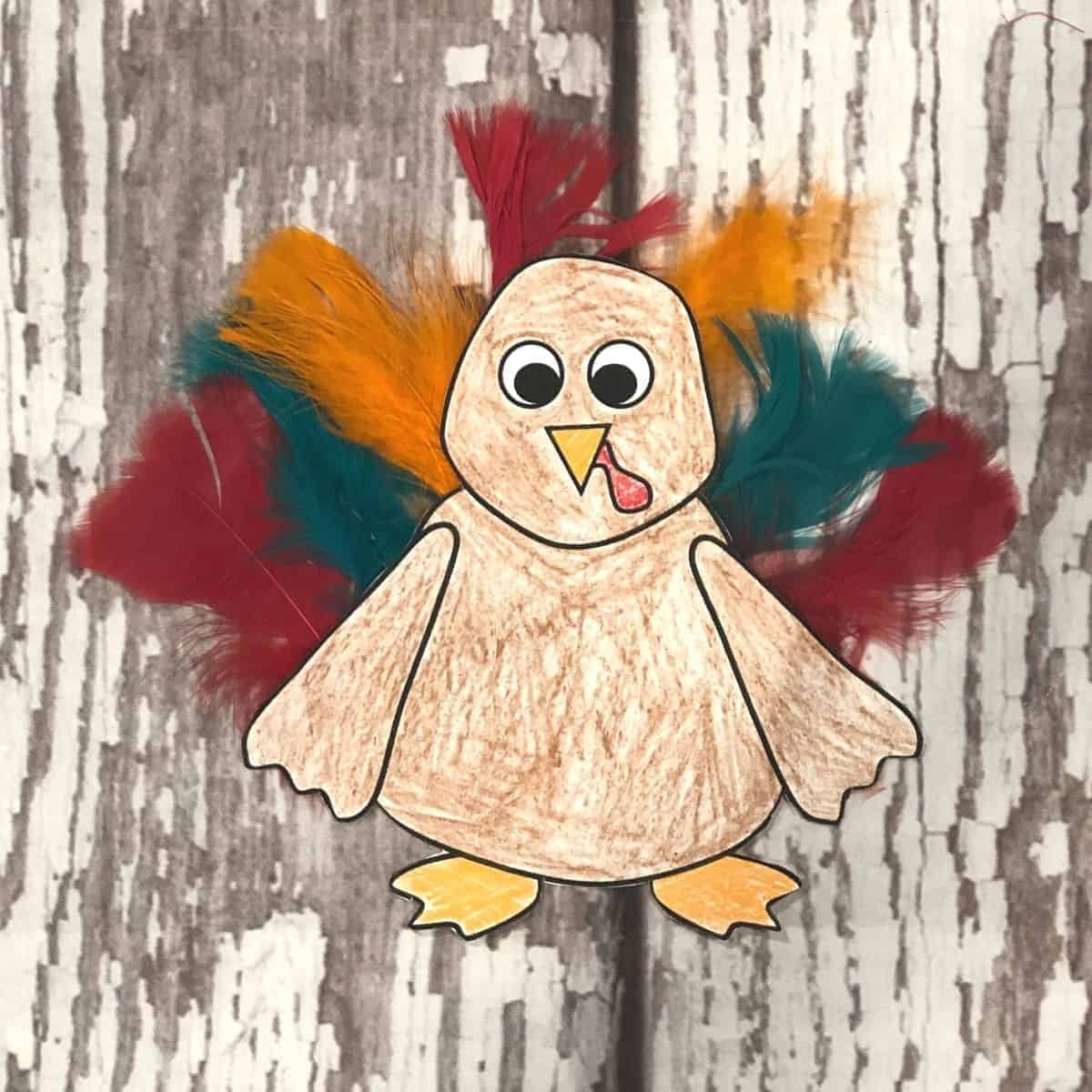 Feather Turkey Art