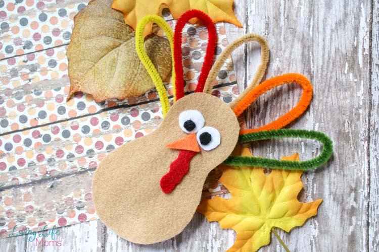 Felt Pipe Cleaner Turkey