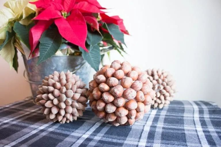 Hazelnut Ball Ornaments