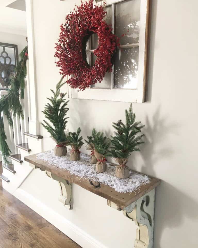 Miniature Tree Display