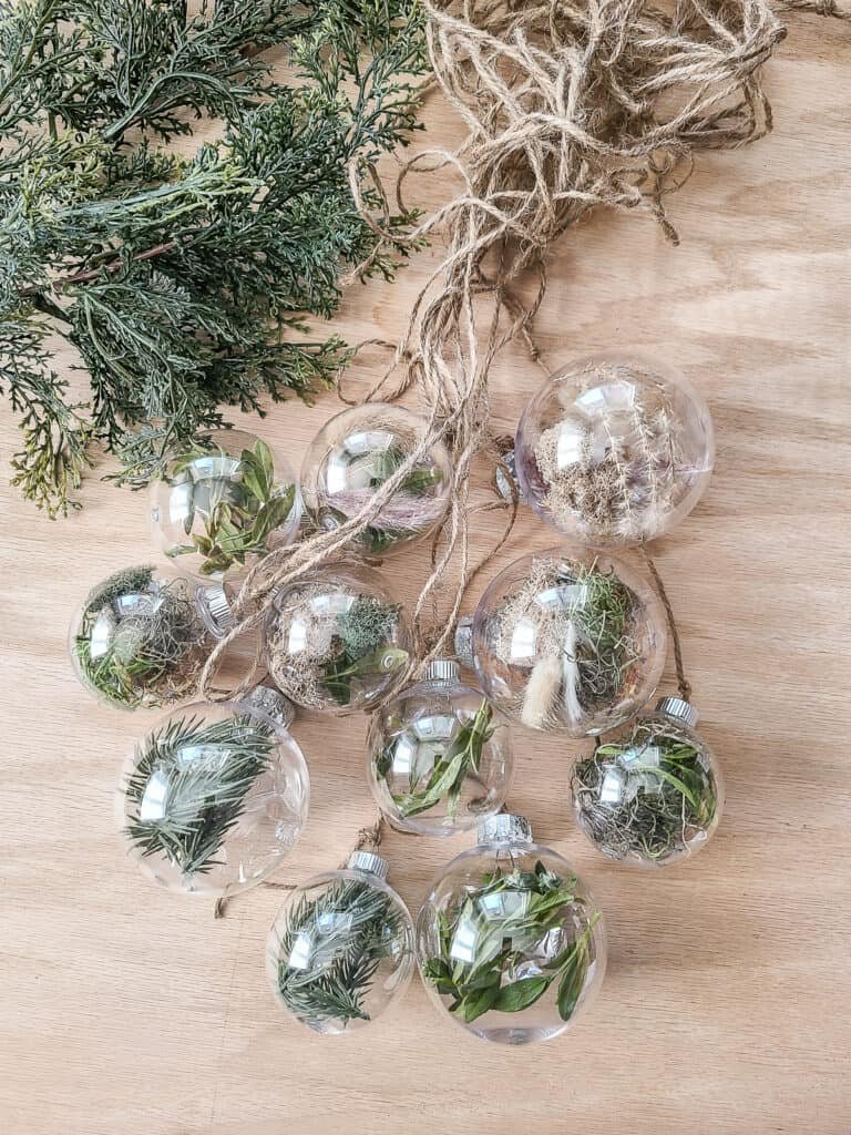Natural Element Ornaments