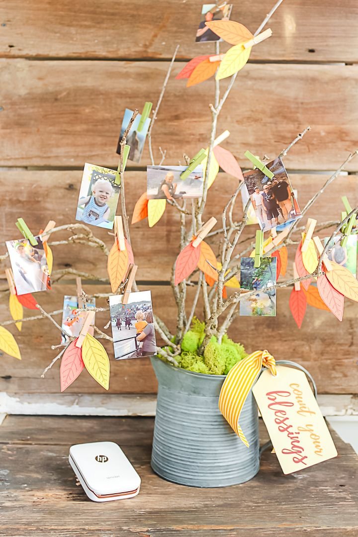 Photo Display Tree