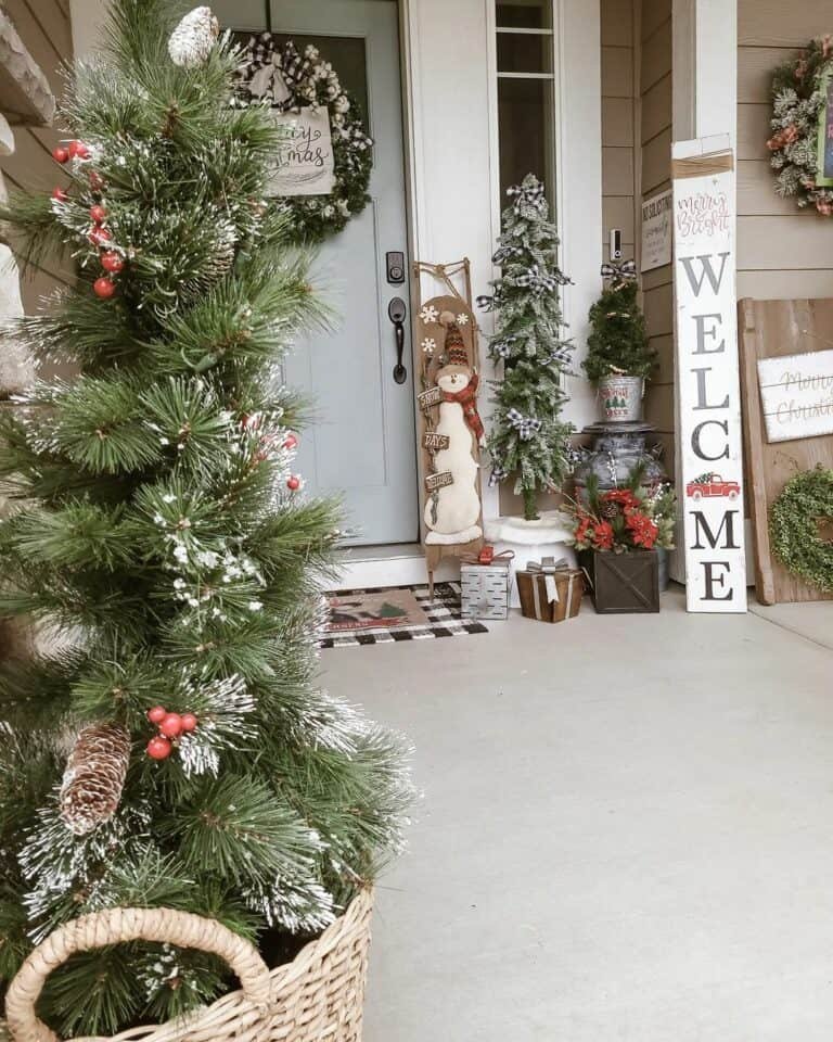 Silver Gold Sled Display