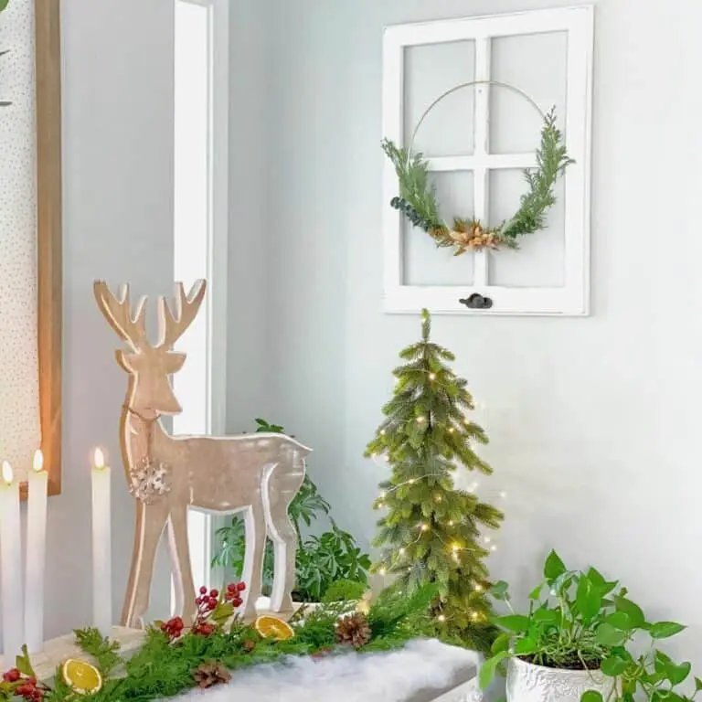 Wooden Bench Display