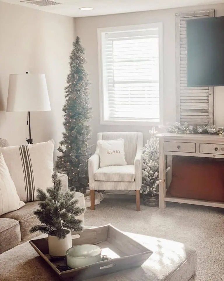 Living Room Placement