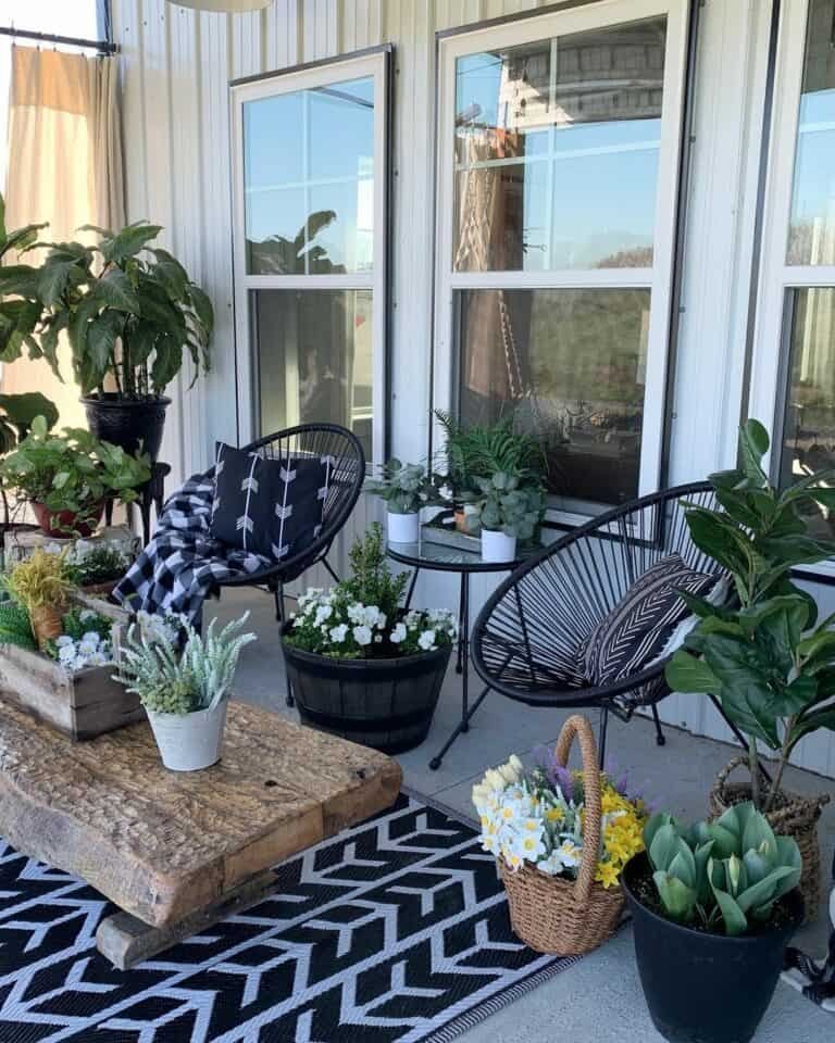 Spring Plant Arrangements