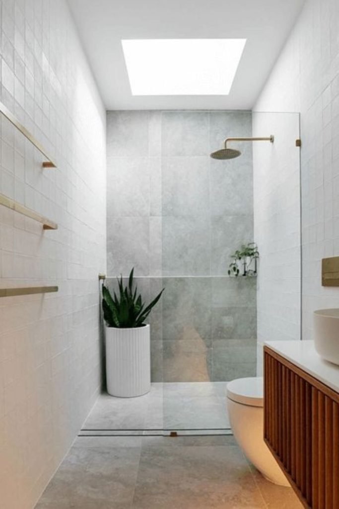 Skylight Toilet Room