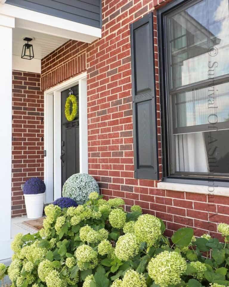 Purple and Green Entrance
